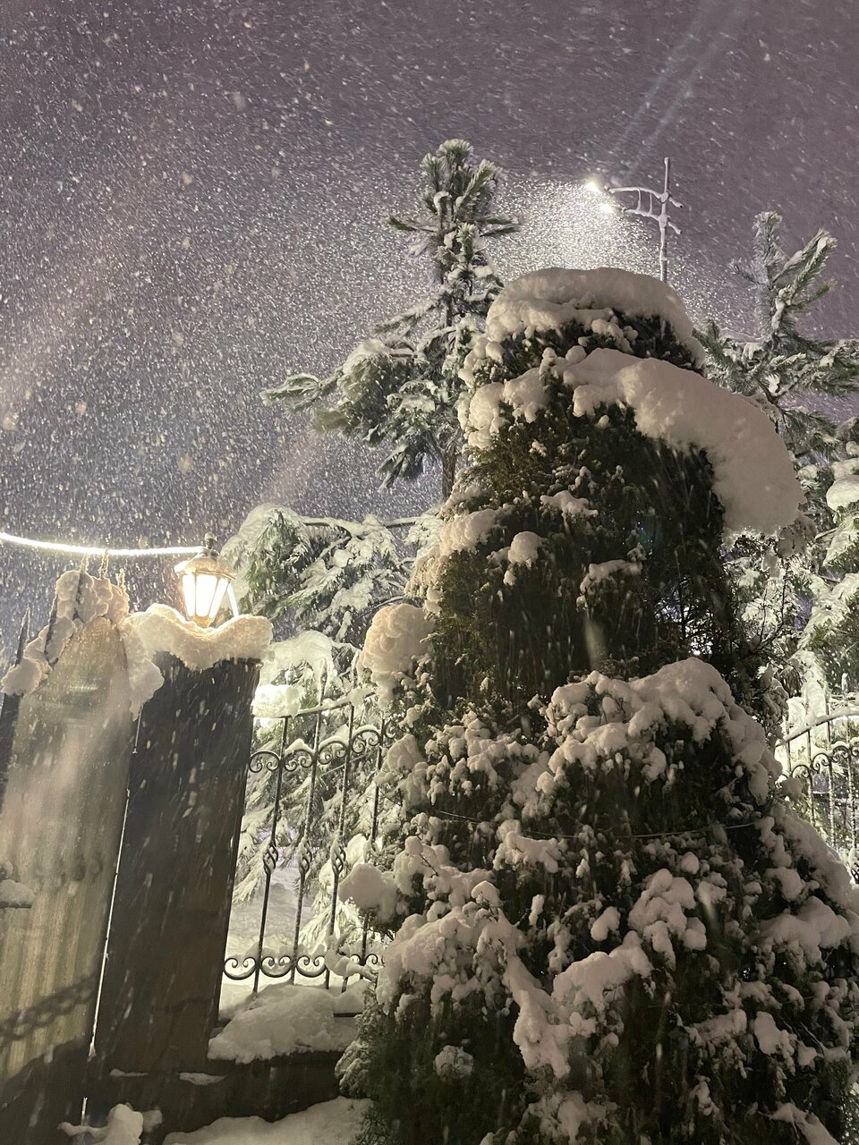 Отель Мелодия гор Красная Поляна-121