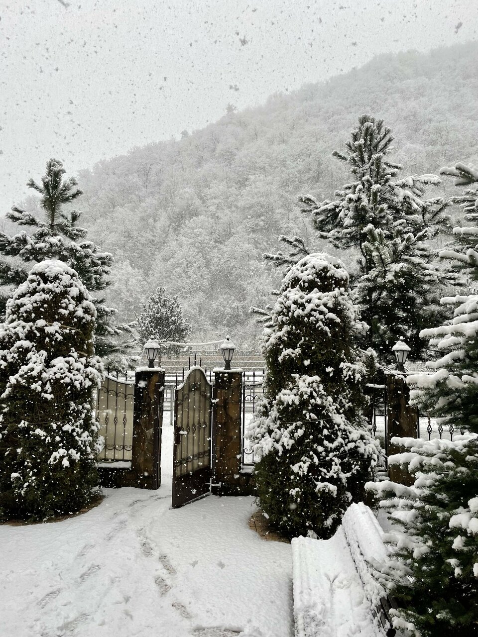 Отель Мелодия гор Красная Поляна-82