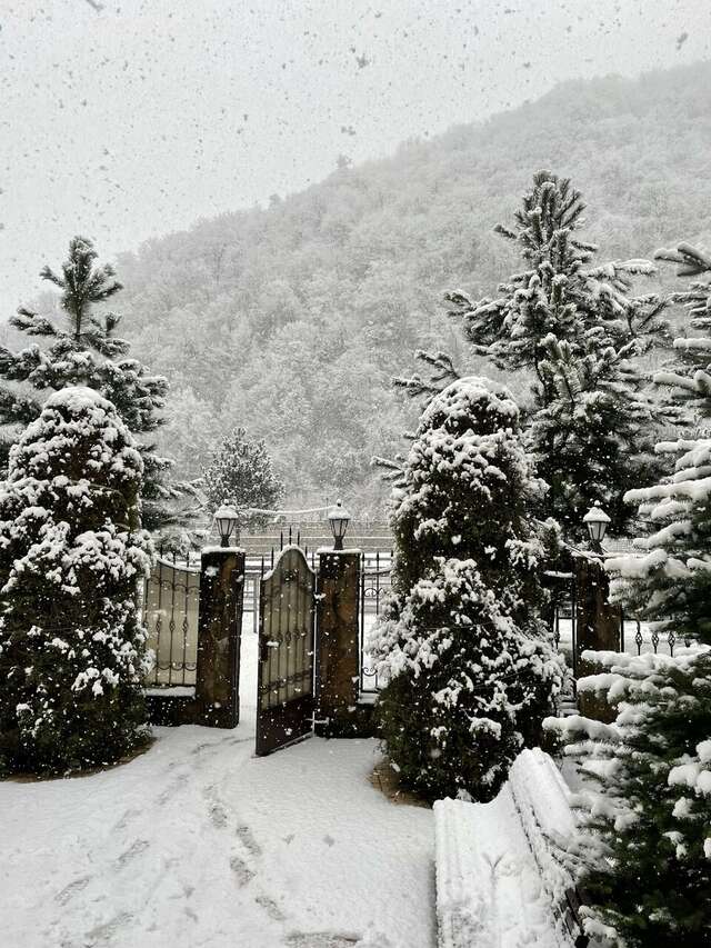 Отель Мелодия гор Красная Поляна-81